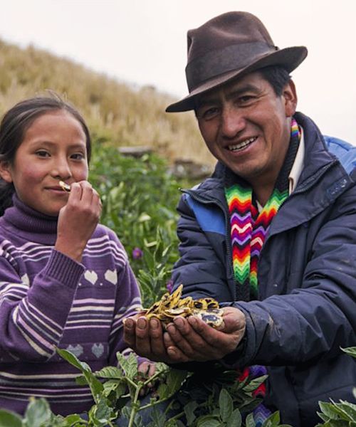 AGROPIA used a kiva loan to support the livelihoods of 129 native potato farmers and their families in the Peruvian Andes.