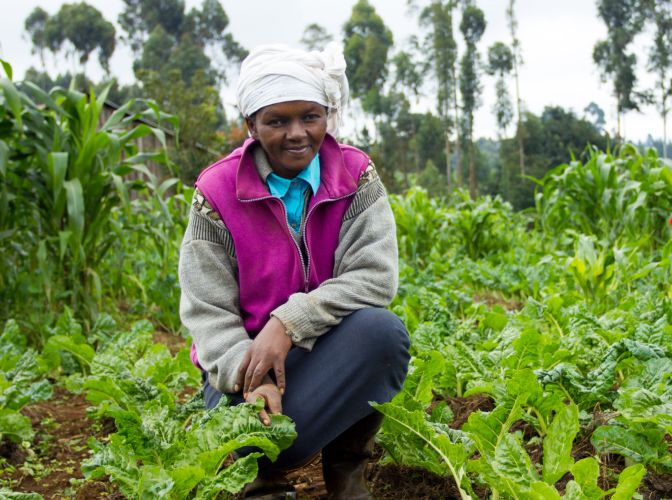Rose, farmer, Kenya