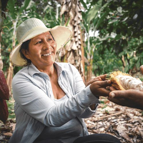 partnership-page-hero-new