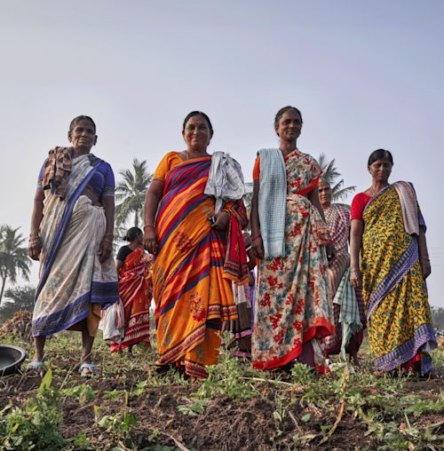 Diaspora co. is committed to paying farmers living wages so they can afford to grow naturally and regeneratively.