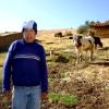Armando