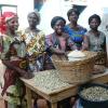 Association Elom-Agoè Adjougba Group