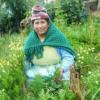 Florinda