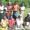 Patwe Koi Oyaba Rose Group