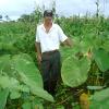 José Alfredo
