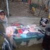 Mohpari