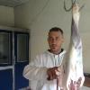 Mohamad