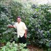Ivan Antonio