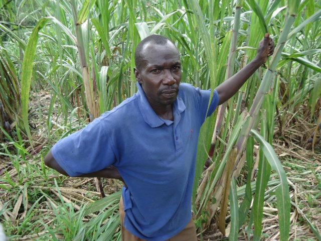 Emmanuel needs some sugar cane!!