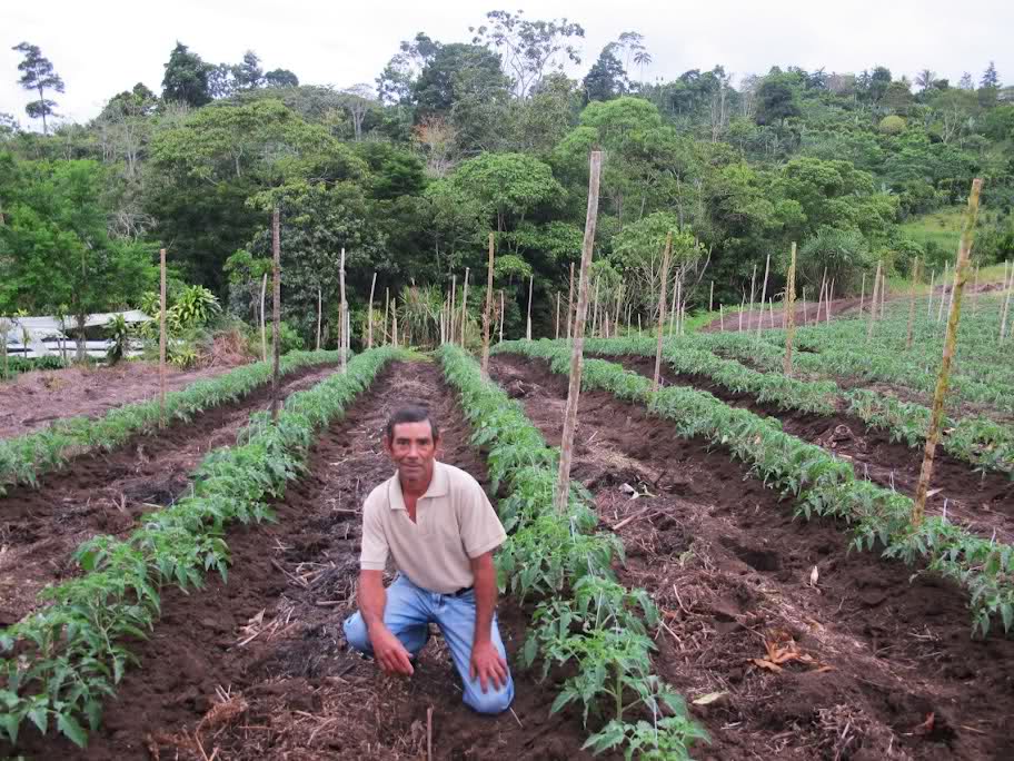 Kiva Innovations: Growing agricultural economies, starting with small farms