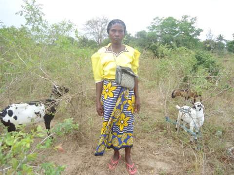 Social Performance in Action: Designing loans to fit client needs