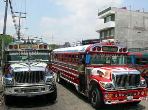 “From One War to Another”