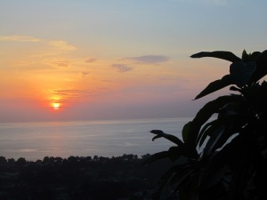 Malaria Dreams: The True Kiva Fellowship Experience