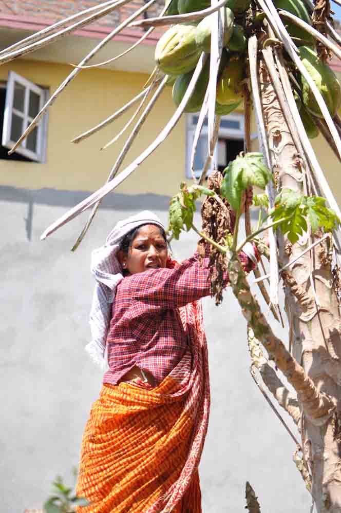 Farewell from the Field