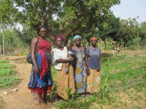 The Ladder of Autonomy