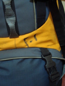 21 Days on the Road (Part I)