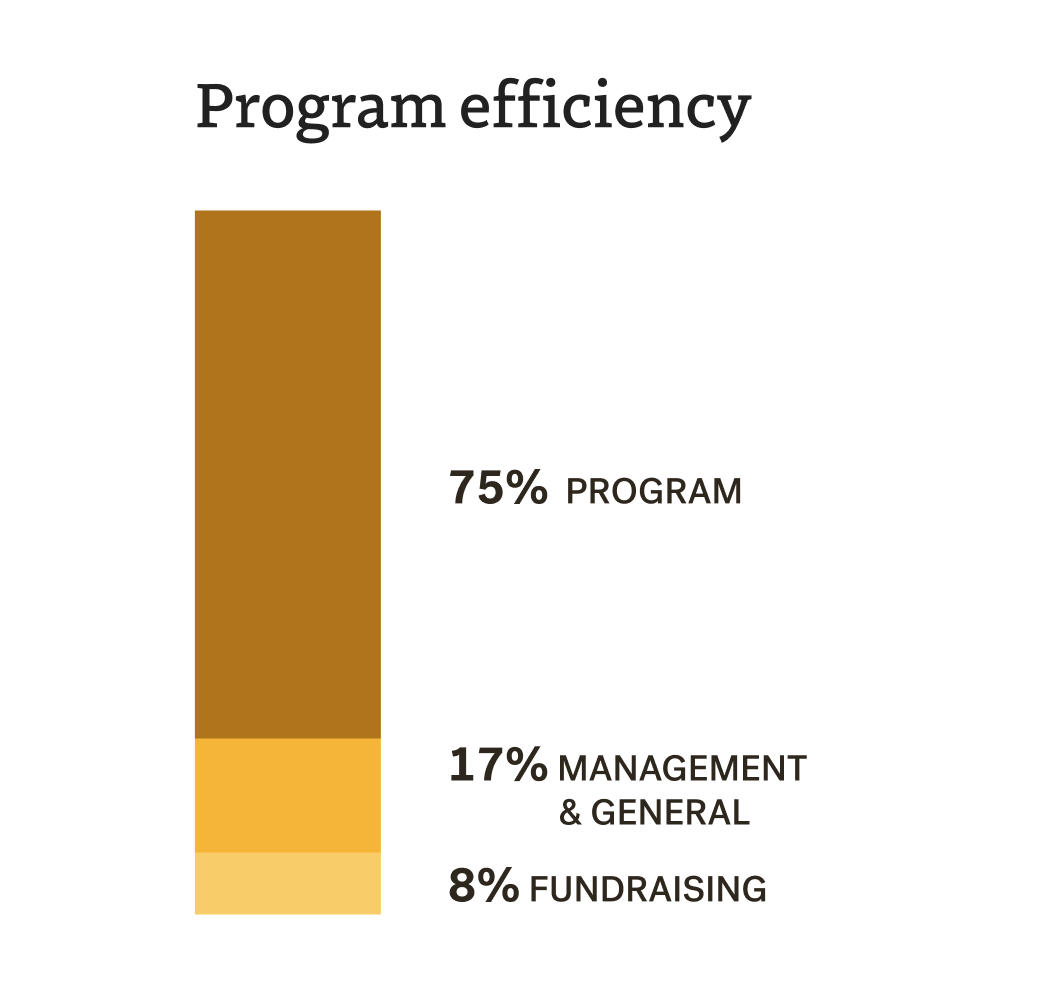 Program Efficiency2024