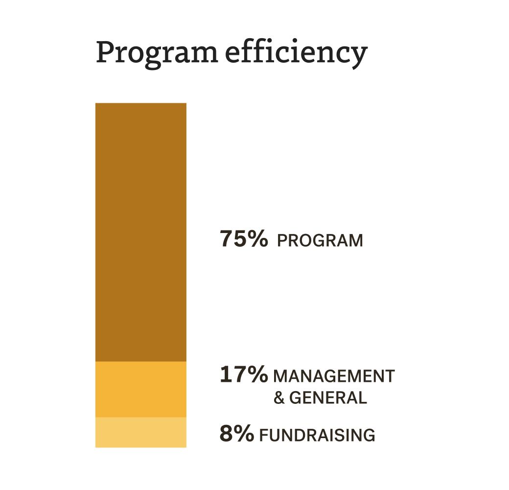 Program Efficiency2024