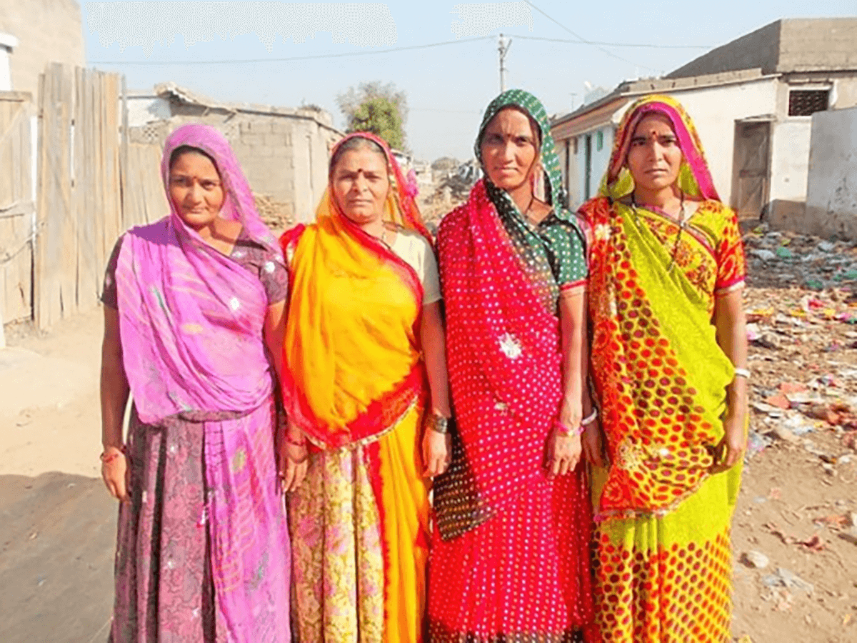 Cool New Partners: Egypt, India & Peru