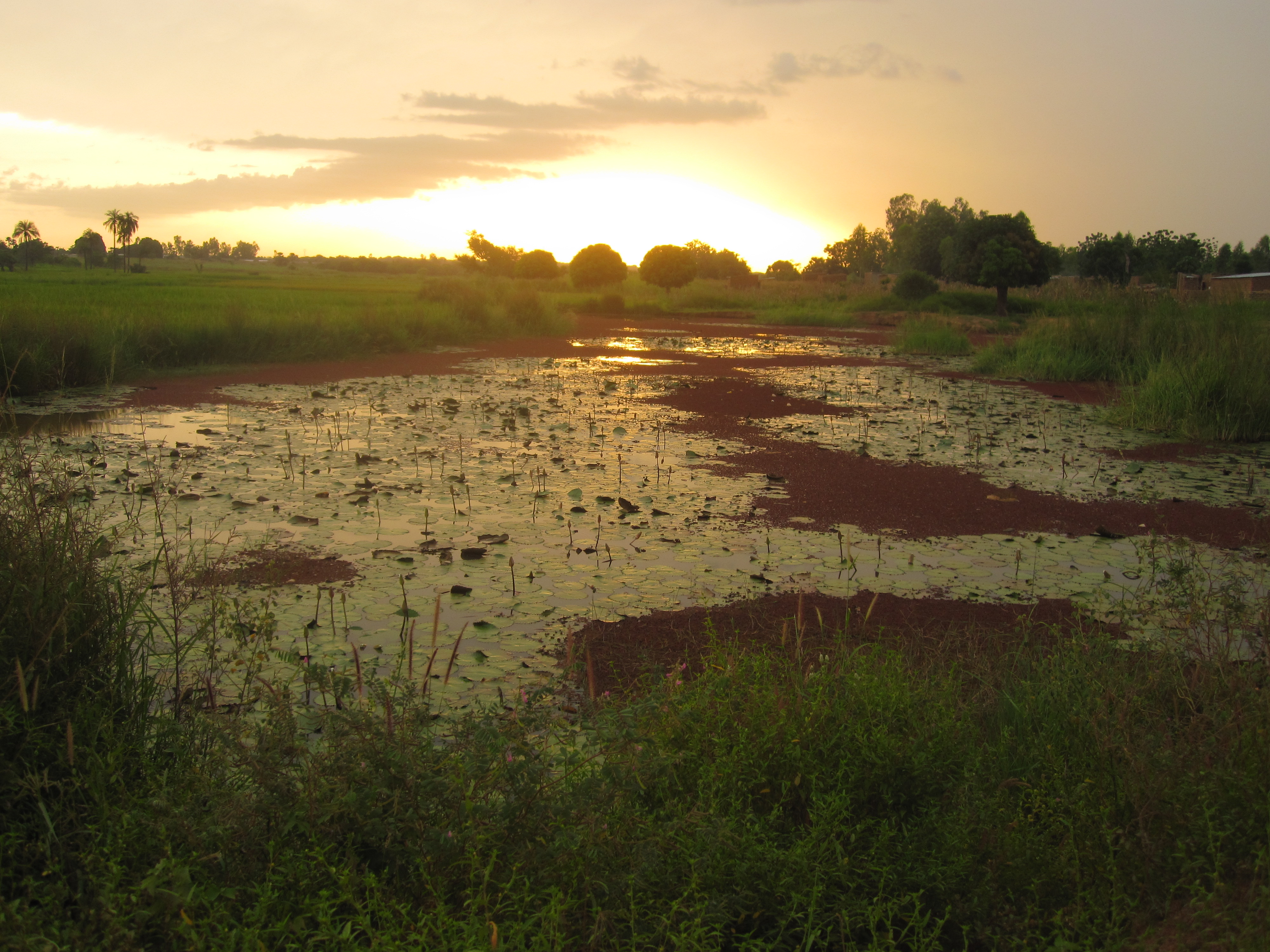 La Réalité de L’Afrique