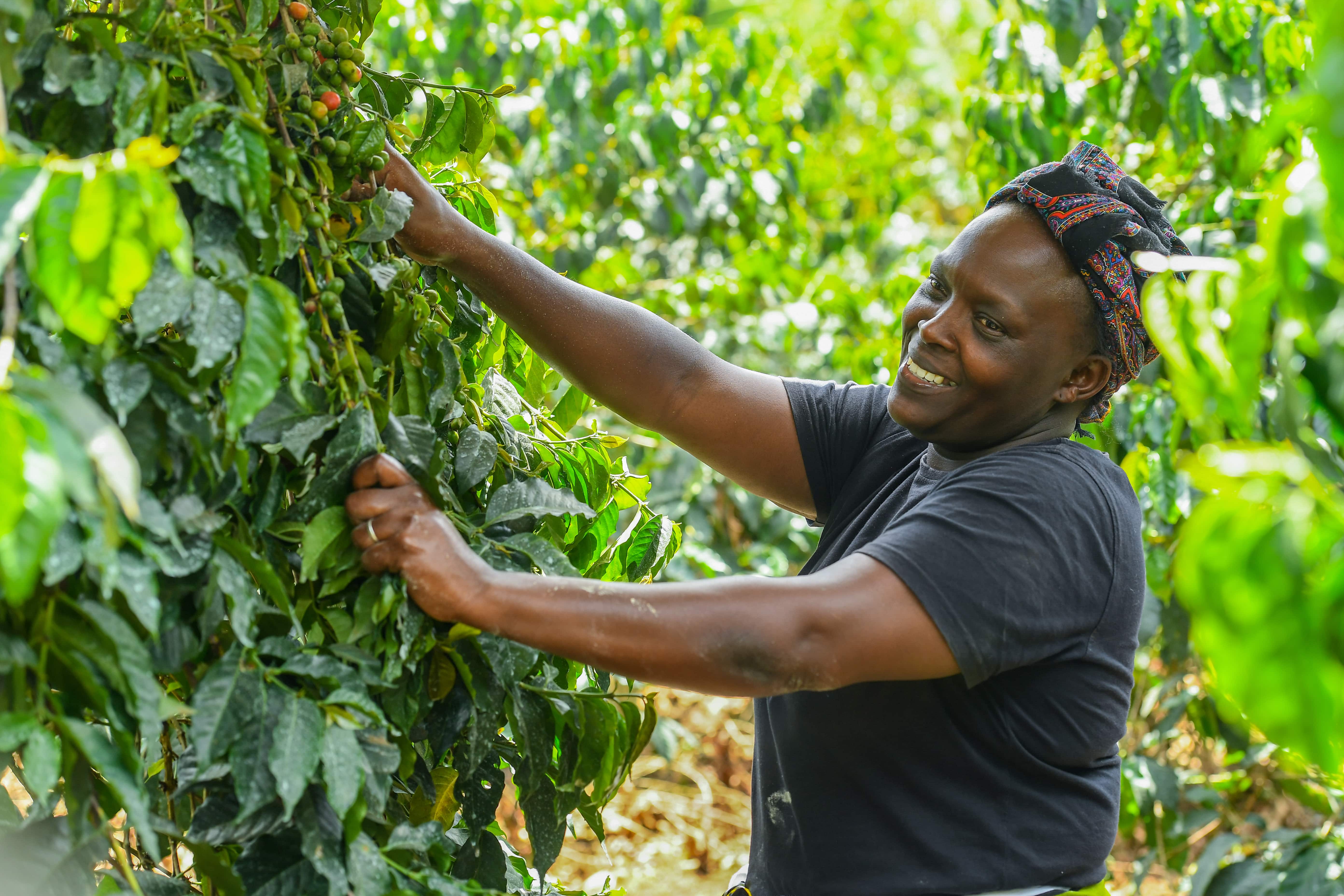 13+ ways to do something about climate change