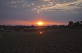 Things I Won't Tell My Mom (shoot, she's probably reading this)