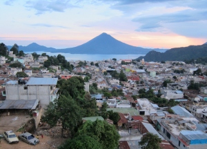 Smitten From The Field