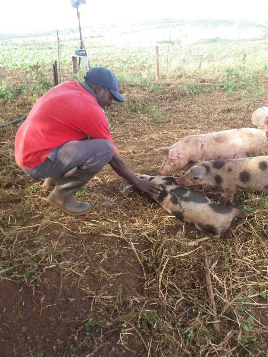 Mancoba of Ubuntu Permaculture Mission