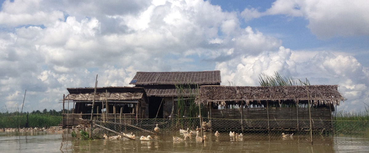 Share One Lesson You've Learned Recently