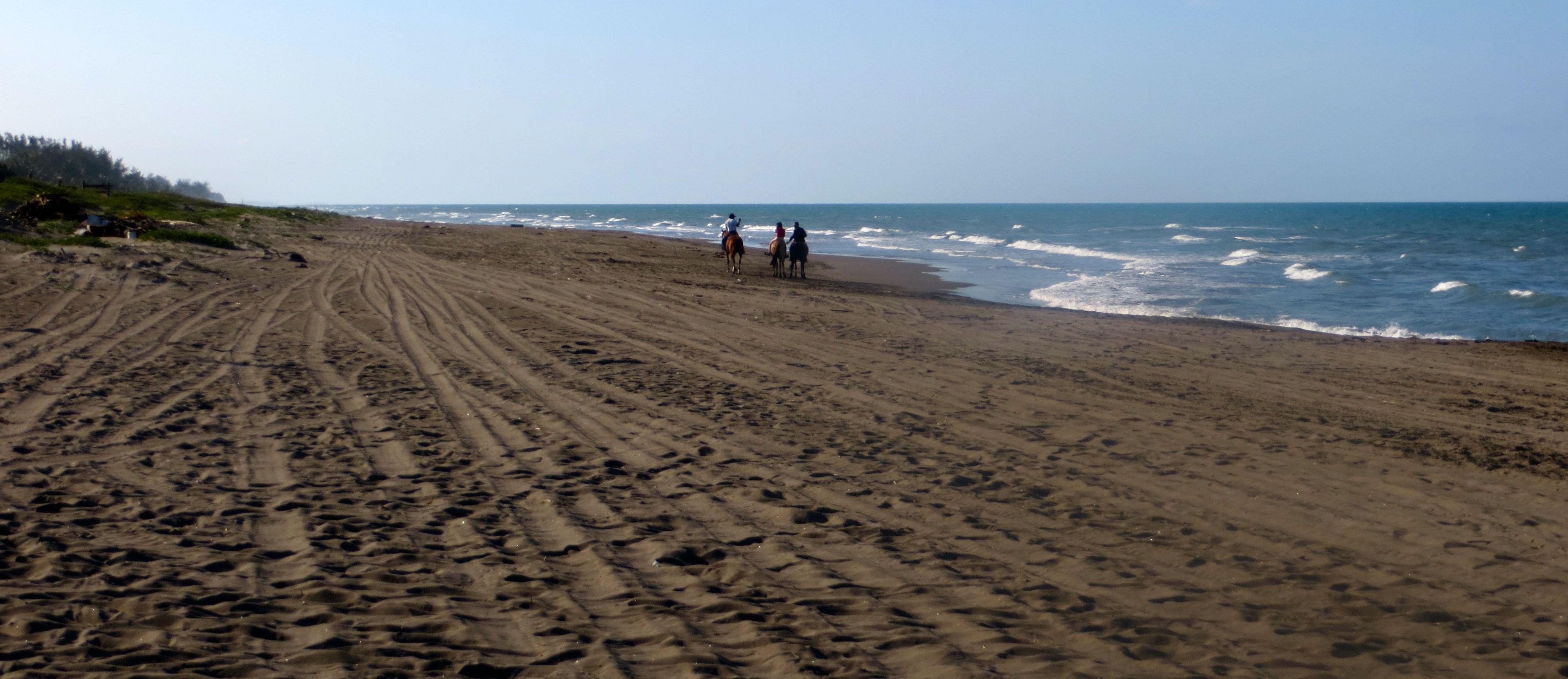 Update from the Field: Colorful Markets, Microfinance for Students + Springtime Flowers and Celebrations