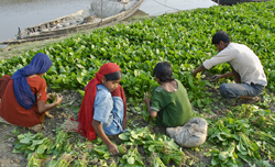 Social Performance in Action: A behind-the-scenes look at one Field Partners' badges