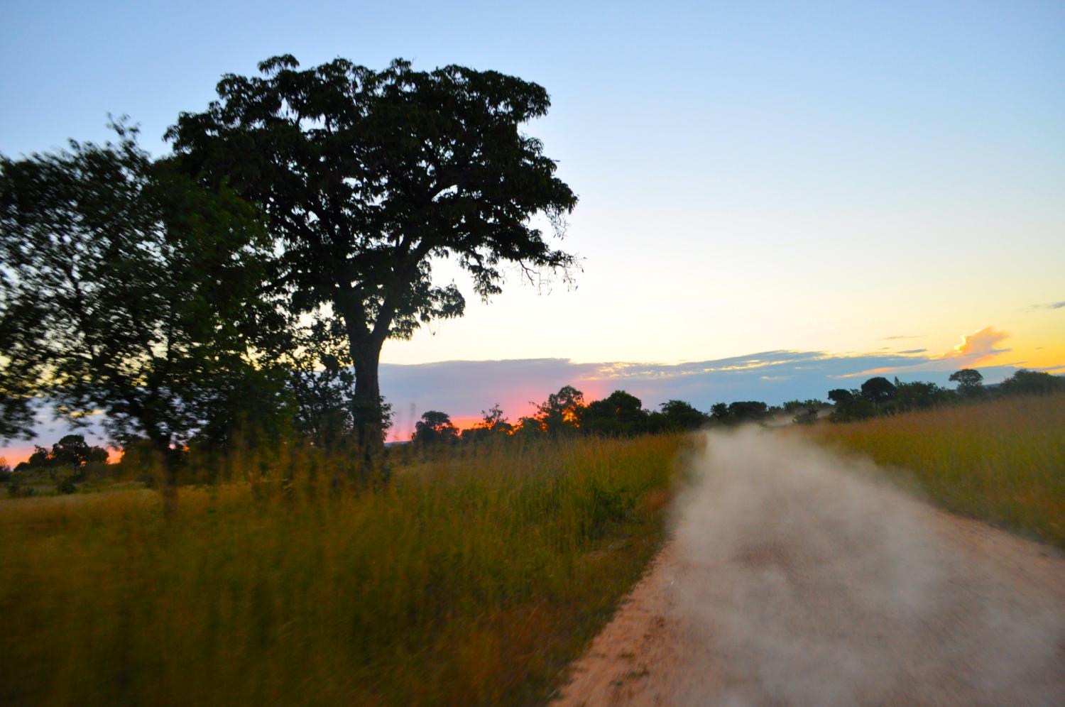 The Birthplace of a Women's Education Movement in Zimbabwe
