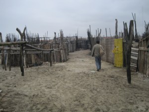 Necessity Entrepreneurship