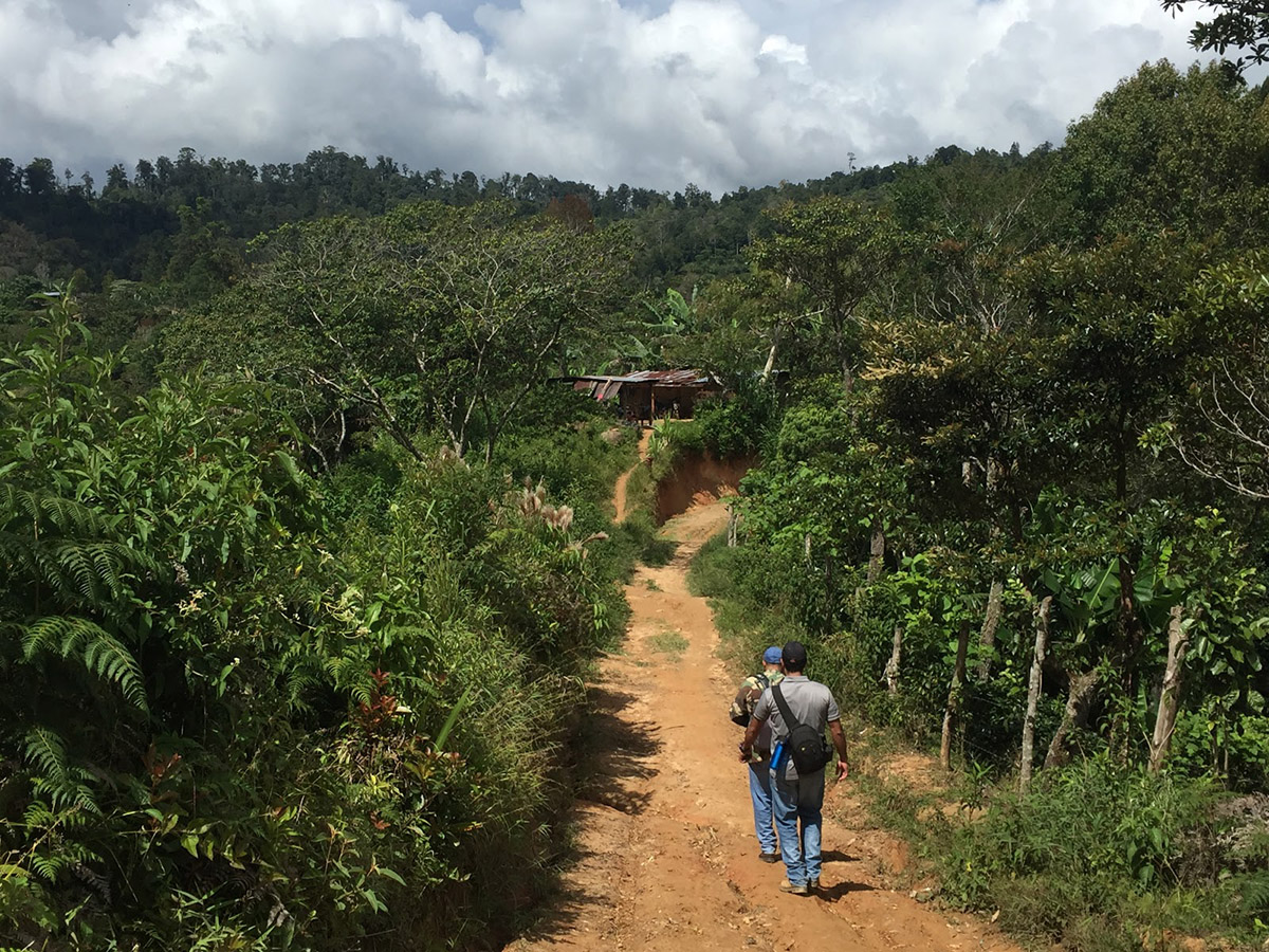 From lender’s wallet to farmer’s pocket: The journey of a loan