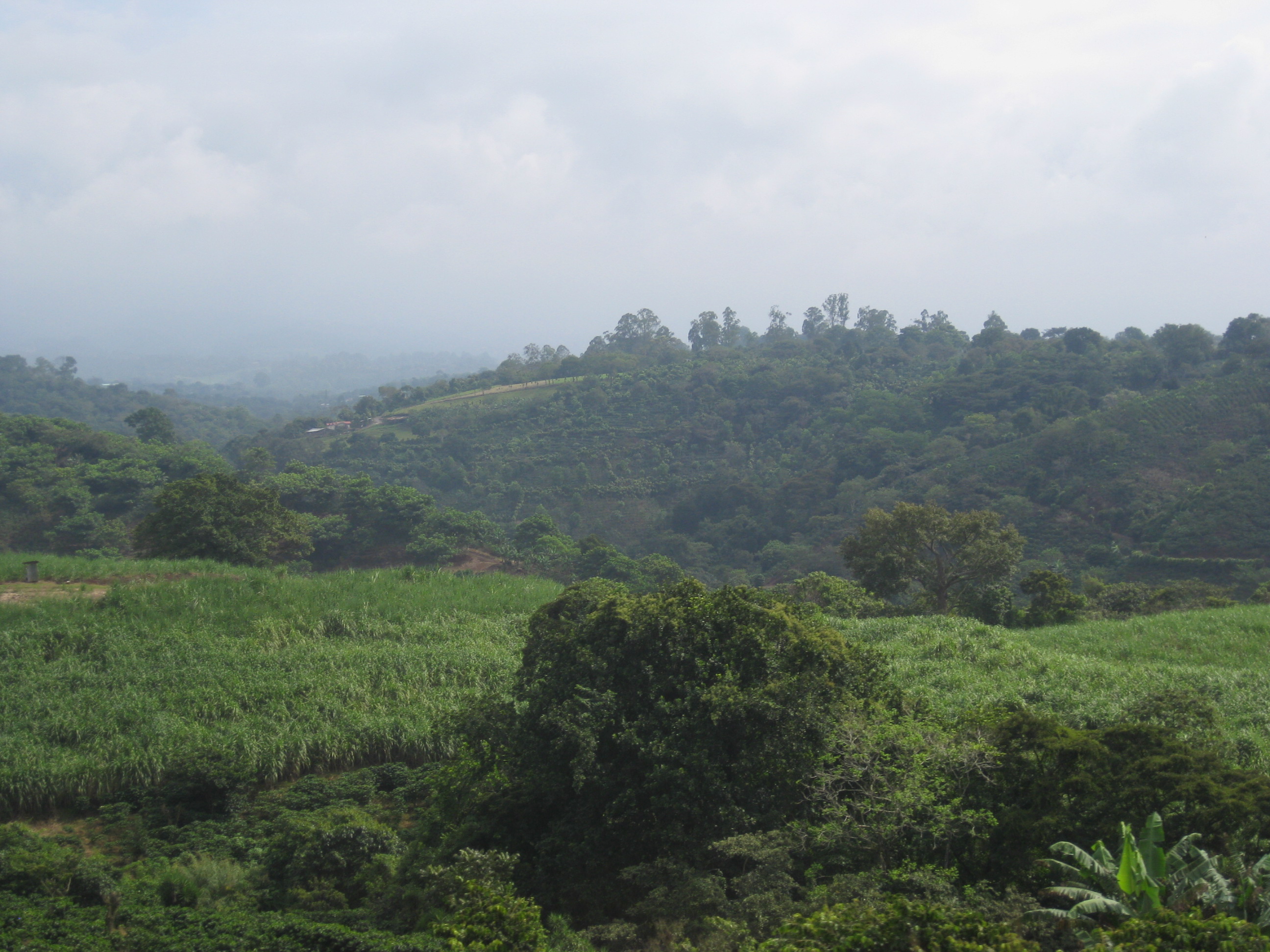 Hard Workers and the Spirit of Entreprise