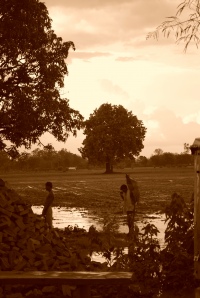 Farmers playing Wall Street