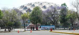 Beyond Financial Services: Mexico’s Greatest Artisan Fair