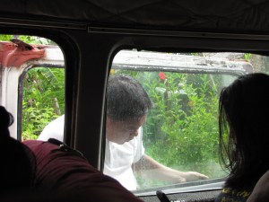 Planting Rice Is Never Fun