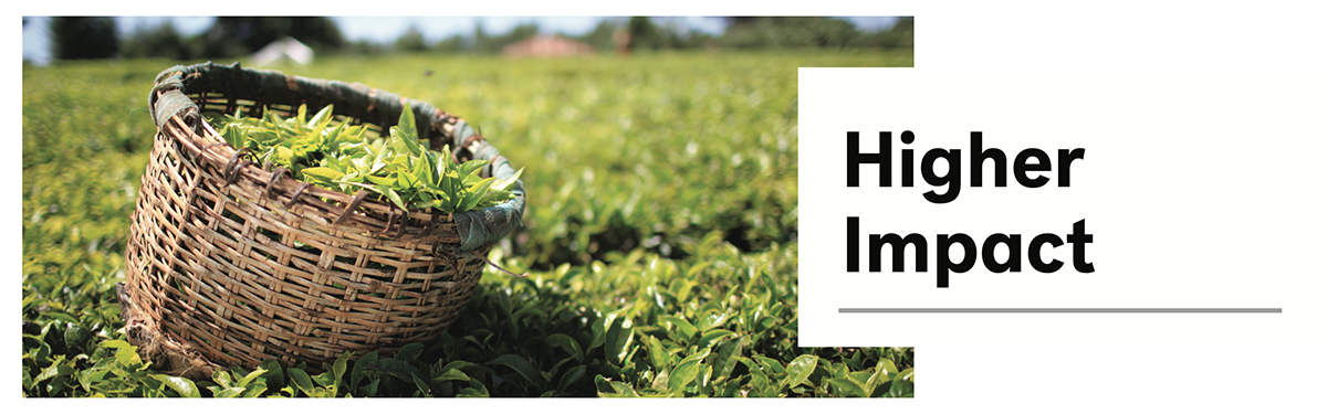 Product Manager Rachel Chang speaks on the COVID-19 pandemic in Taiwan and Sierra Leone