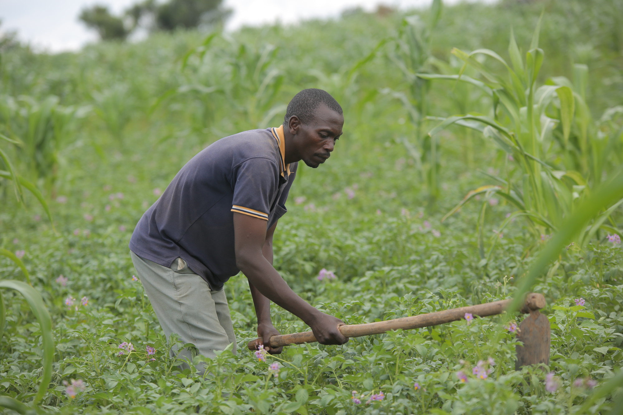 JOHN IS A DEVOTED FATHER OF 7 AND SUCCESSFUL ENTREPRENEUR. A $1425 LOAN HELPED HIM GROW HIS BUSINESSS VENTURES AND SEND HIS KIDS TO SCHOOL.