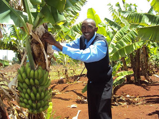 Picture This: Kiva's on Pinterest, Instagram, Tumblr and Google+