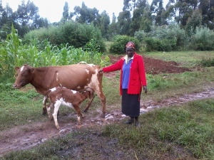 Technology in the Field: the Future of Microfinance