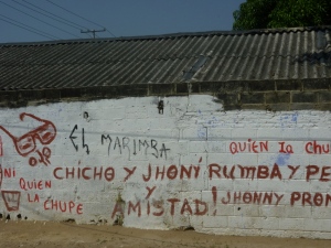 You sell what? Microfinance and health foods