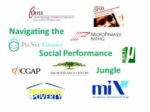 Navigating the Social Performance Jungle