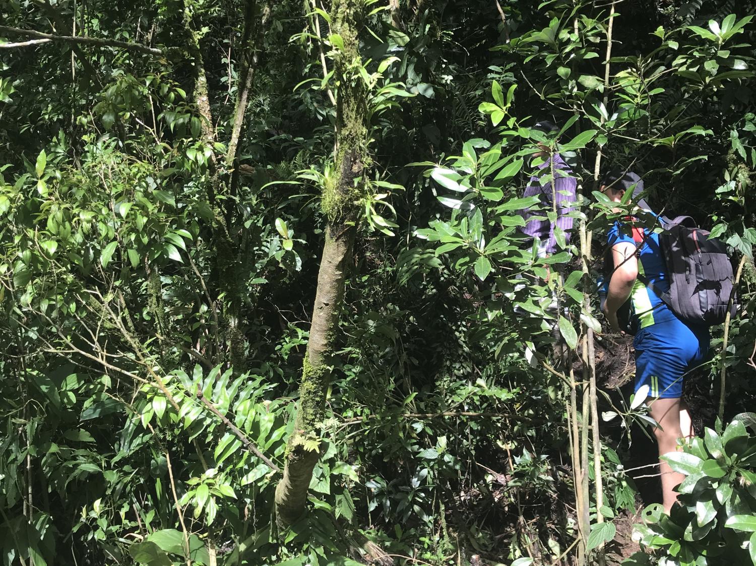 Escaping a disaster zone