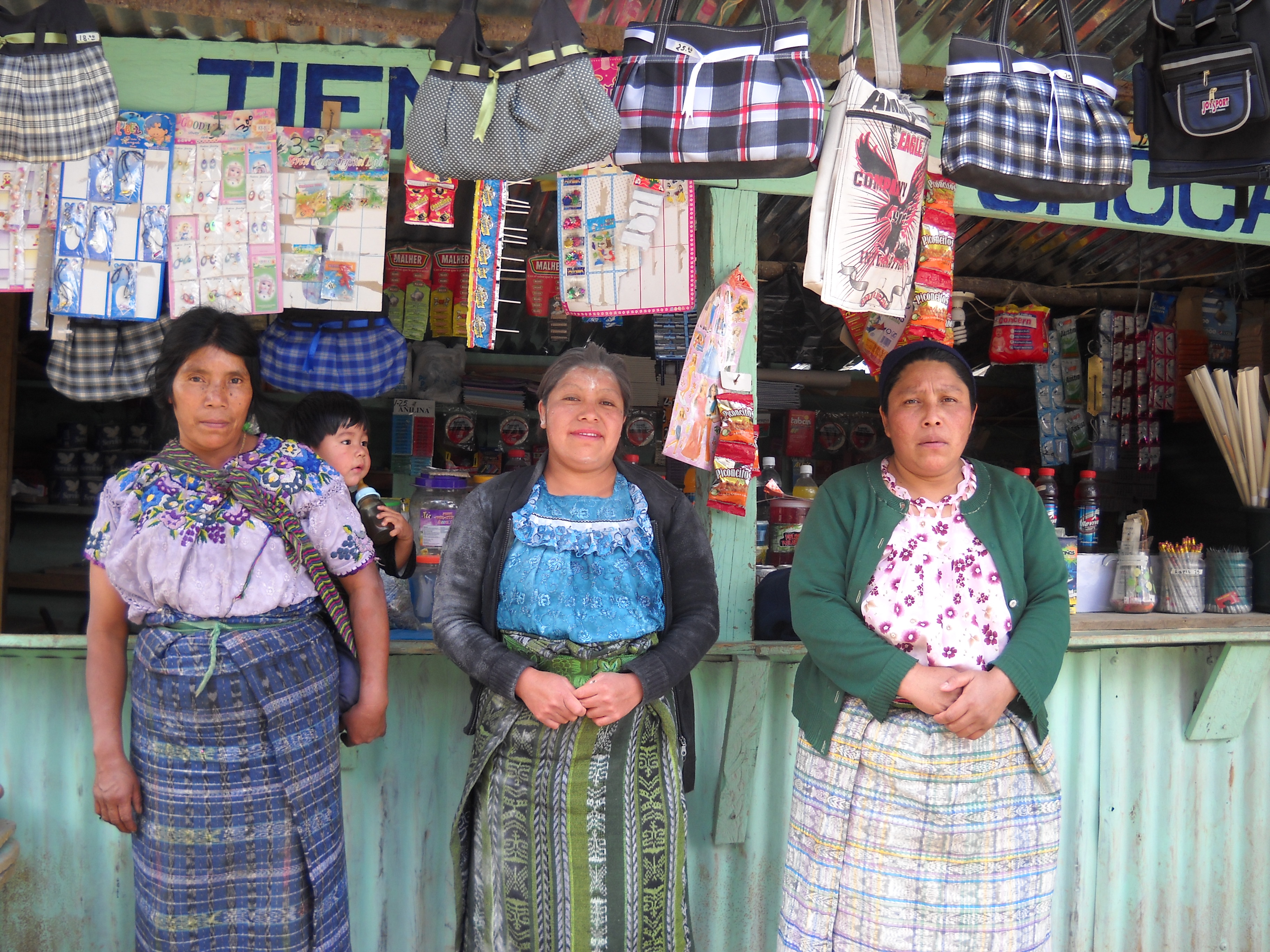 The Microcredit Saleswoman