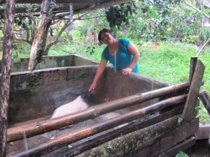 Interest in Alleviating Poverty