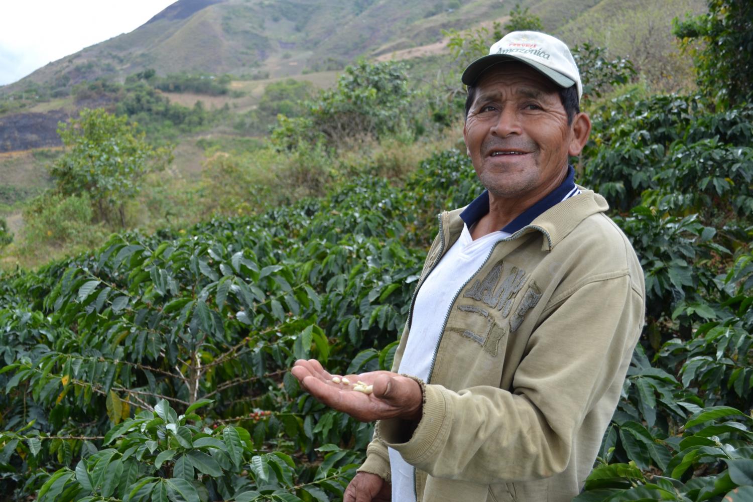 The Man Behind the Barista: visiting a coffee grower in Peru