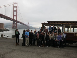 37 New Brushes to Paint the World