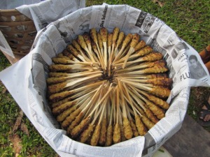 Ceremonies and Pigs in Bali